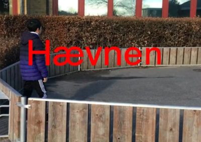 Hævnen